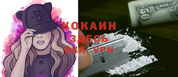 apvp Арсеньев