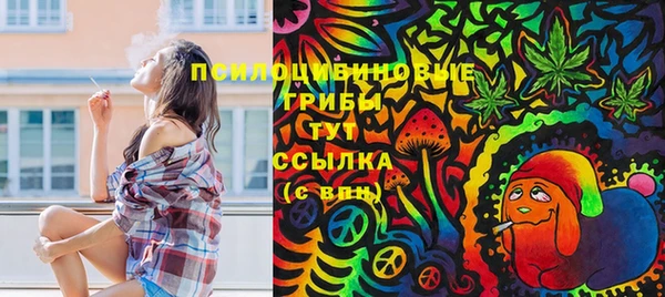 МДПВ Видное