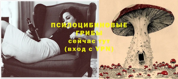 apvp Арсеньев