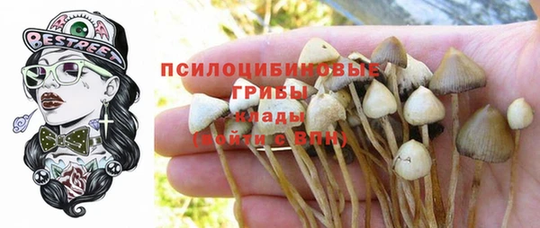 прущий лед Богородск