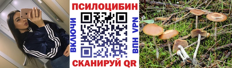 даркнет сайт  mega ONION  это Telegram  Кубинка  Псилоцибиновые грибы Psilocybine cubensis 