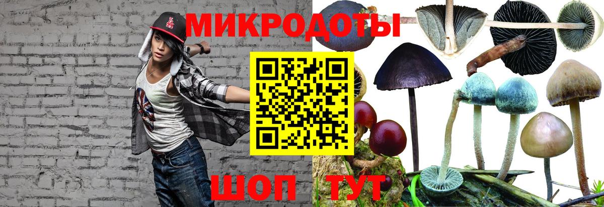 Галлюциногенные грибы Magic Shrooms Кубинка