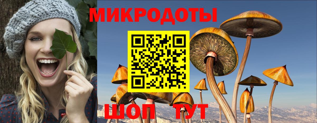 Псилоцибиновые грибы Psilocybe  Вход с VPN  Галлюциногенные грибы MAGIC MUSHROOMS  Кубинка 